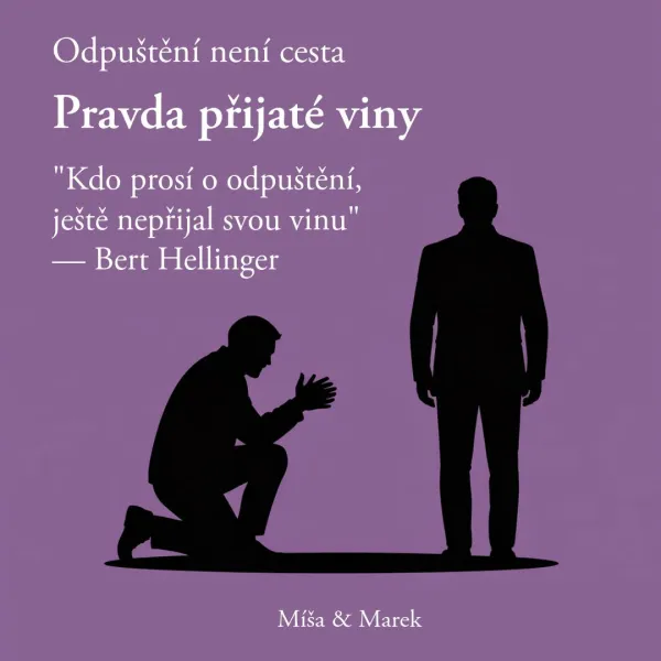 Pravda přijaté viny